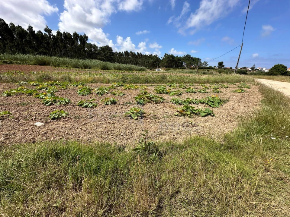 Terreno para Venda em Atouguia da Baleia Foto 14