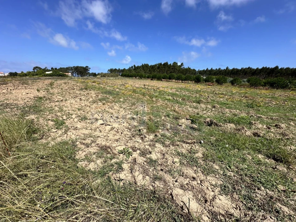 Terreno para Venda em Atouguia da Baleia Foto 3