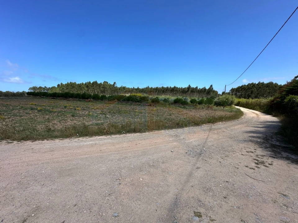 Terreno para Venda em Atouguia da Baleia Foto 19