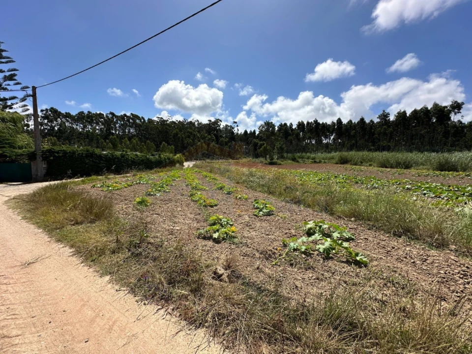 Terreno para Venda em Atouguia da Baleia Foto 16