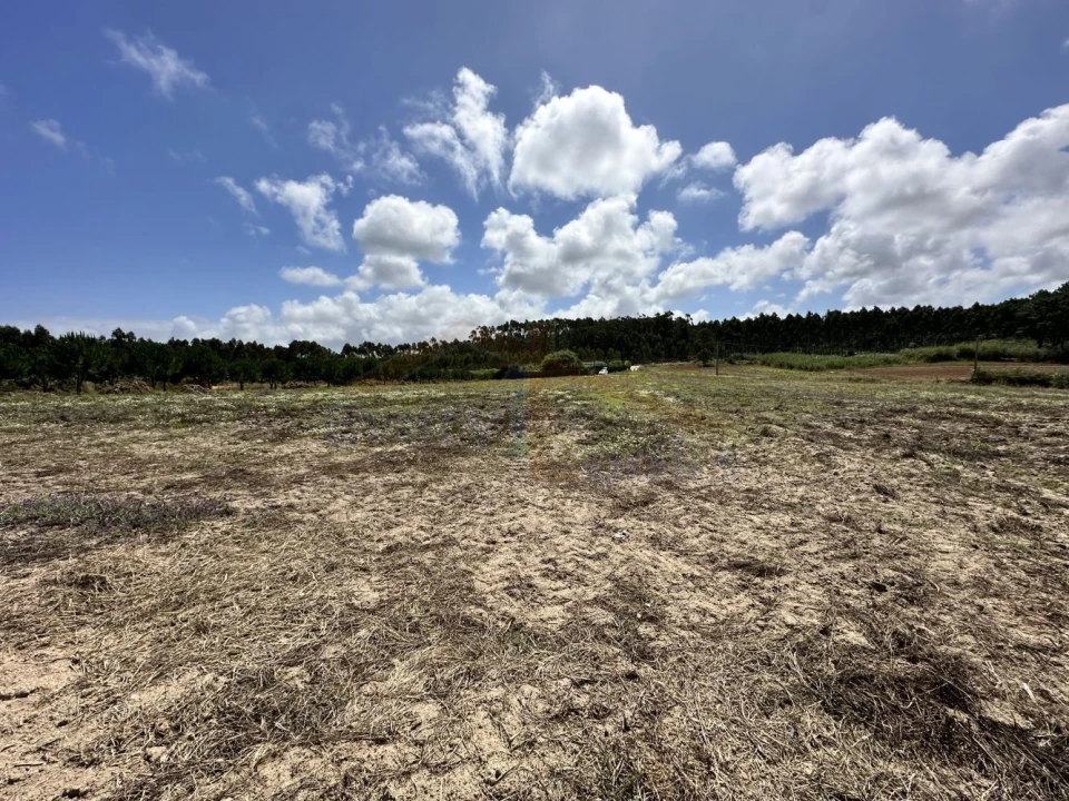 Terreno para Venda em Atouguia da Baleia Foto 10