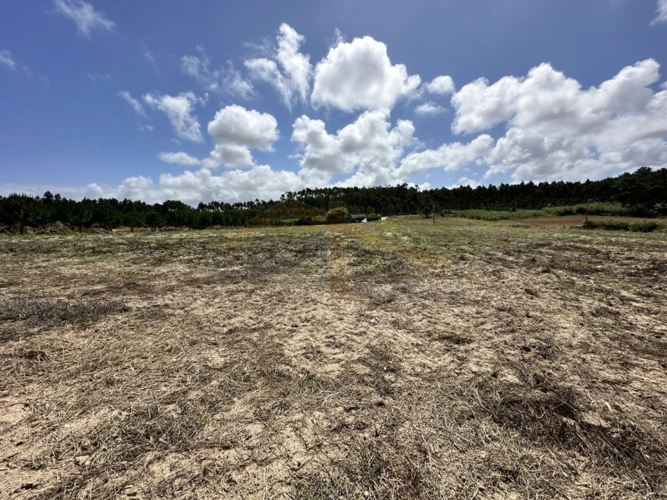 Terreno para Venda em Atouguia da Baleia Foto 11