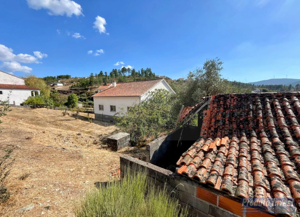 Moradia T3 para Venda em Silvares Foto 37