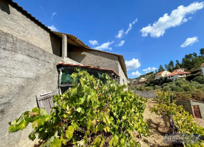 Moradia T3 para Venda em Silvares Foto 27