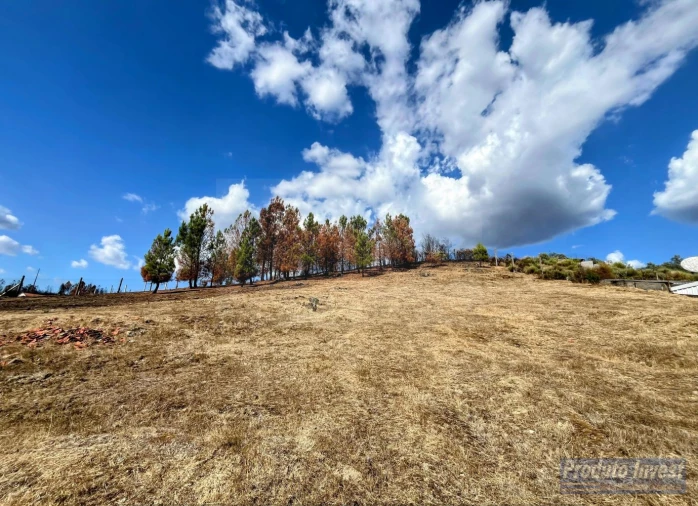 Moradia T3 para Venda em Silvares Foto 35