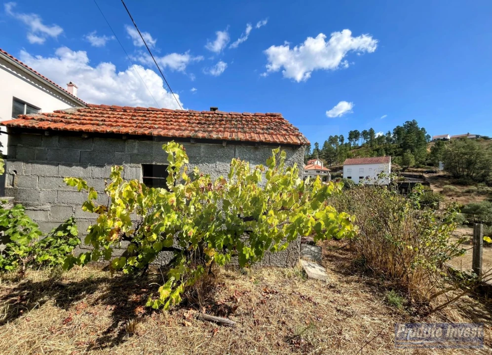 Moradia T3 para Venda em Silvares Foto 29