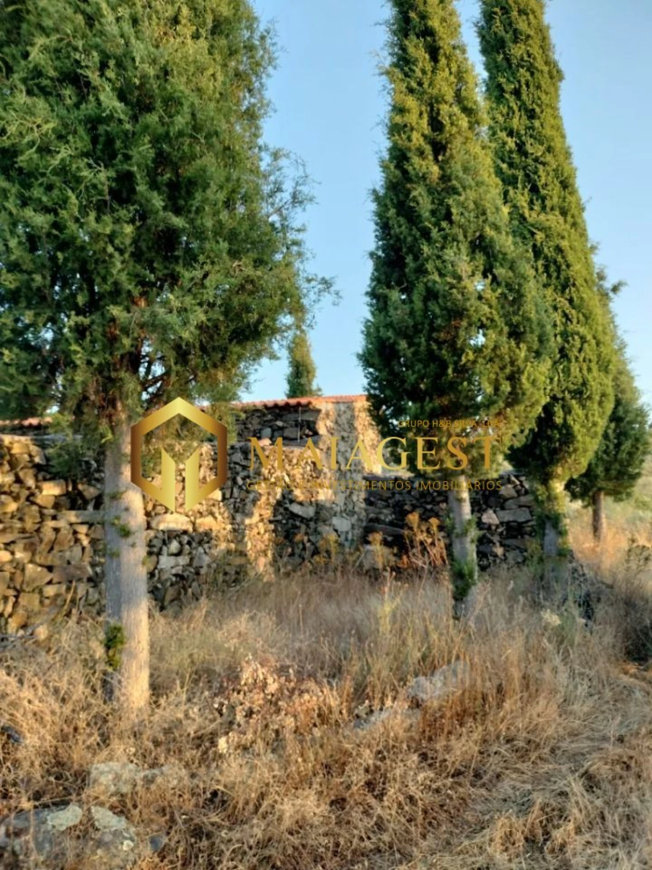 Terreno para Venda em Freixo de Espada a Cinta e Mazouco Foto 3