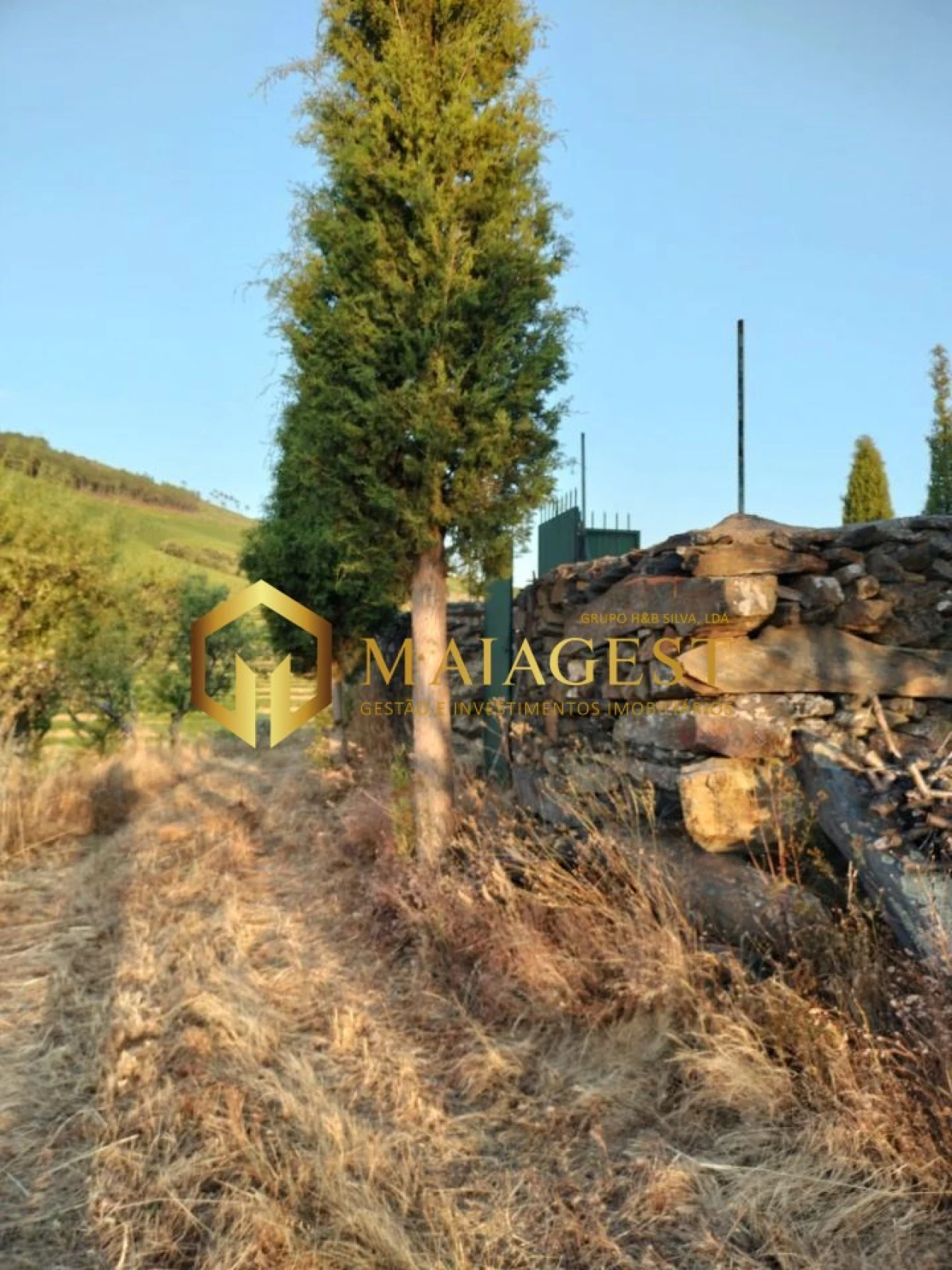 Terreno para Venda em Freixo de Espada a Cinta e Mazouco Foto 5