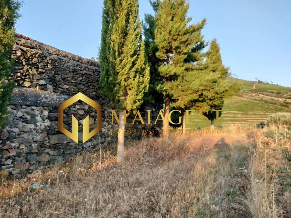 Terreno para Venda em Freixo de Espada a Cinta e Mazouco Foto 9