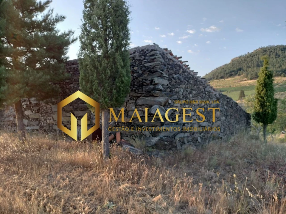 Terreno para Venda em Freixo de Espada a Cinta e Mazouco Foto 12