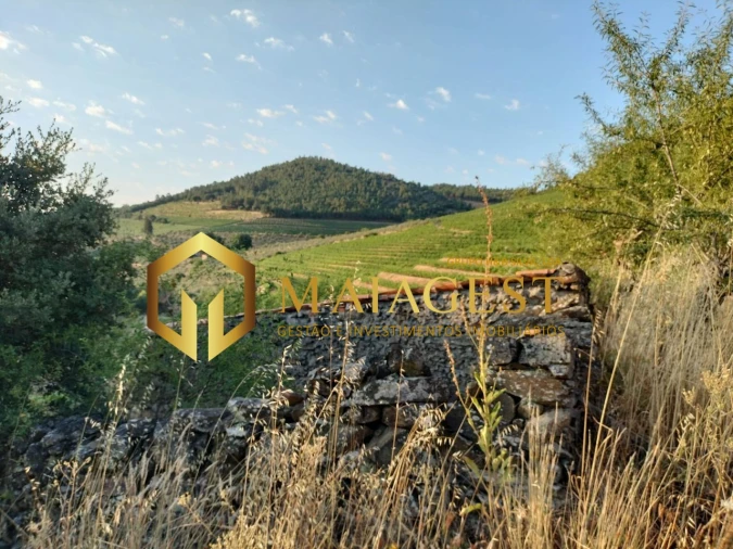 Terreno para Venda em Freixo de Espada a Cinta e Mazouco Foto 1