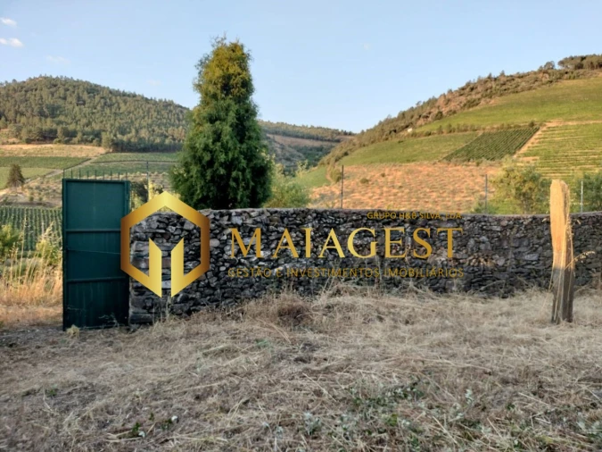 Terreno para Venda em Freixo de Espada a Cinta e Mazouco Foto 2