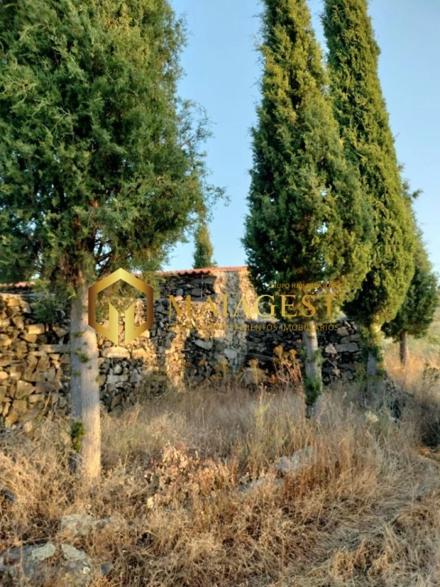 Terreno para Venda em Freixo de Espada a Cinta e Mazouco Foto 3