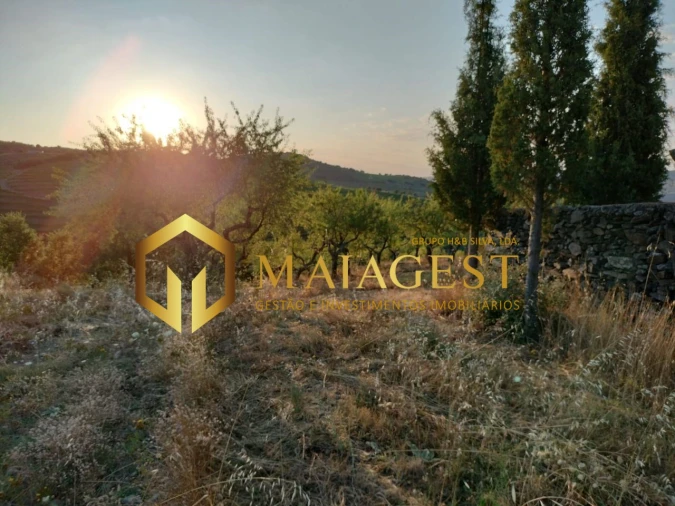 Terreno para Venda em Freixo de Espada a Cinta e Mazouco Foto 6