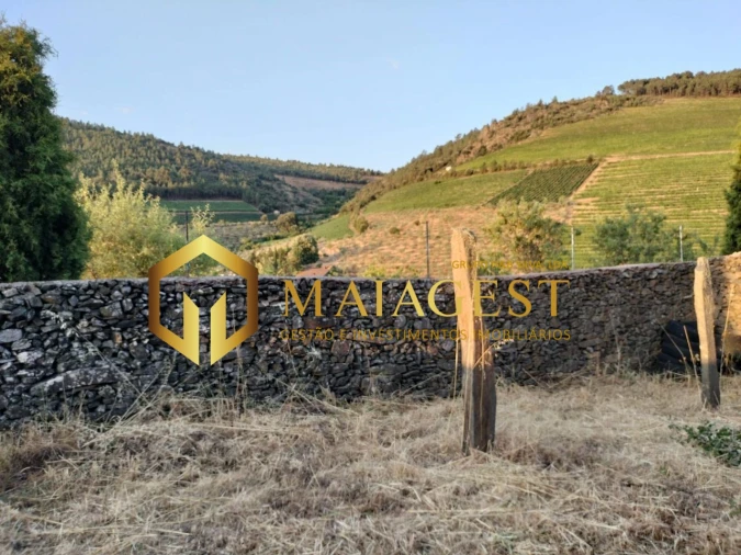 Terreno para Venda em Freixo de Espada a Cinta e Mazouco Foto 8