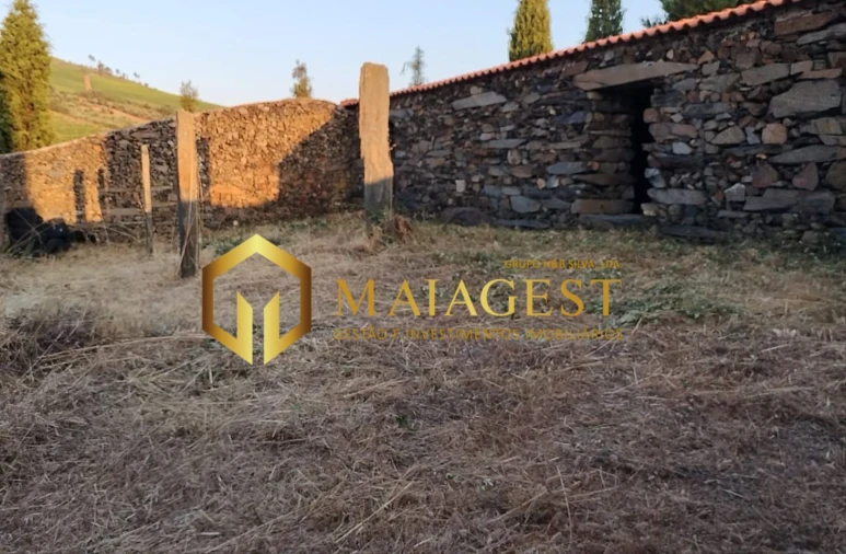 Terreno para Venda em Freixo de Espada a Cinta e Mazouco Foto 13