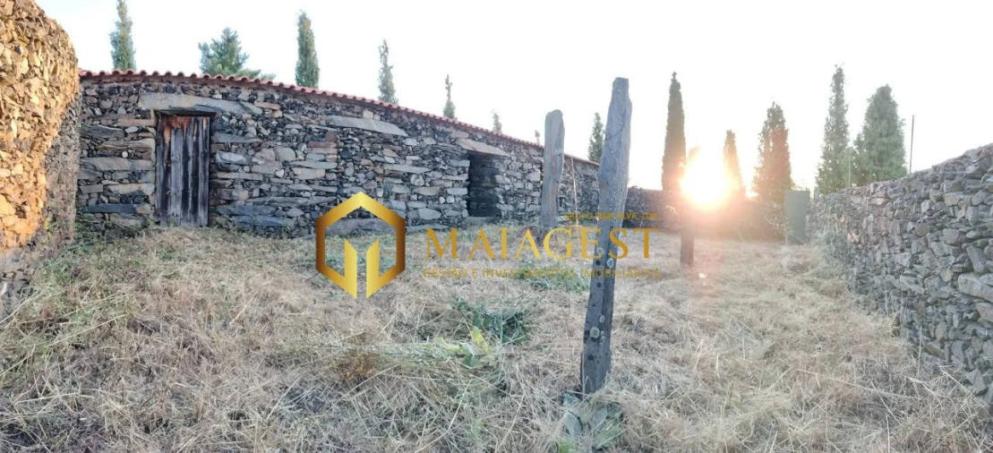 Terreno para Venda em Freixo de Espada a Cinta e Mazouco Foto 14