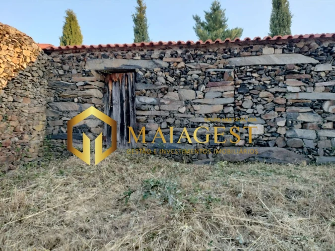 Terreno para Venda em Freixo de Espada a Cinta e Mazouco Foto 16