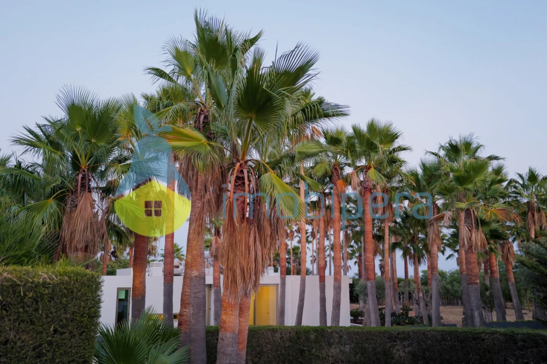 Moradia T3 para Venda em Albufeira e Olhos de Água Foto 44