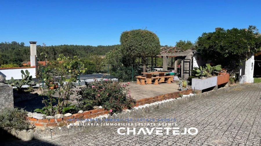 Quinta T7 para Venda em Alvorge Foto 37