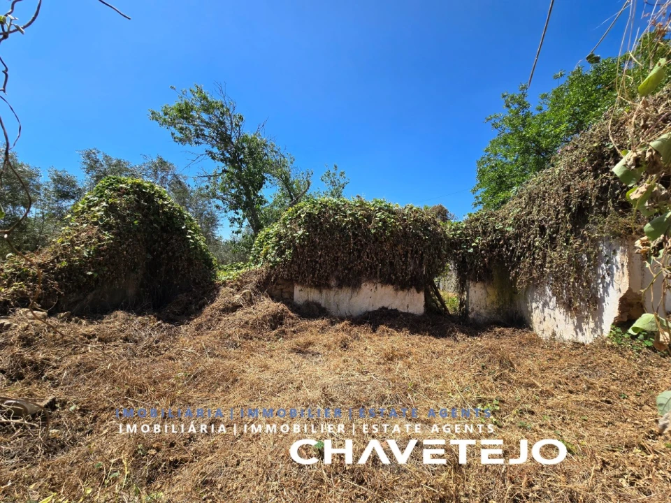 Terreno para Venda em Areias e Pias Foto 3