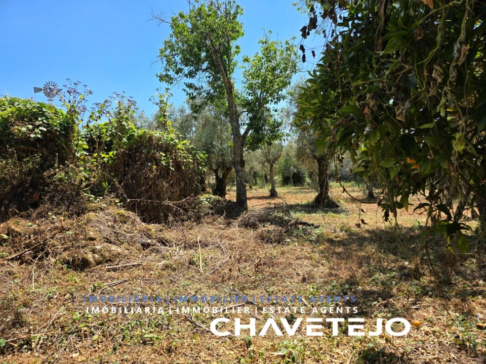 Terreno para Venda em Areias e Pias Foto 7
