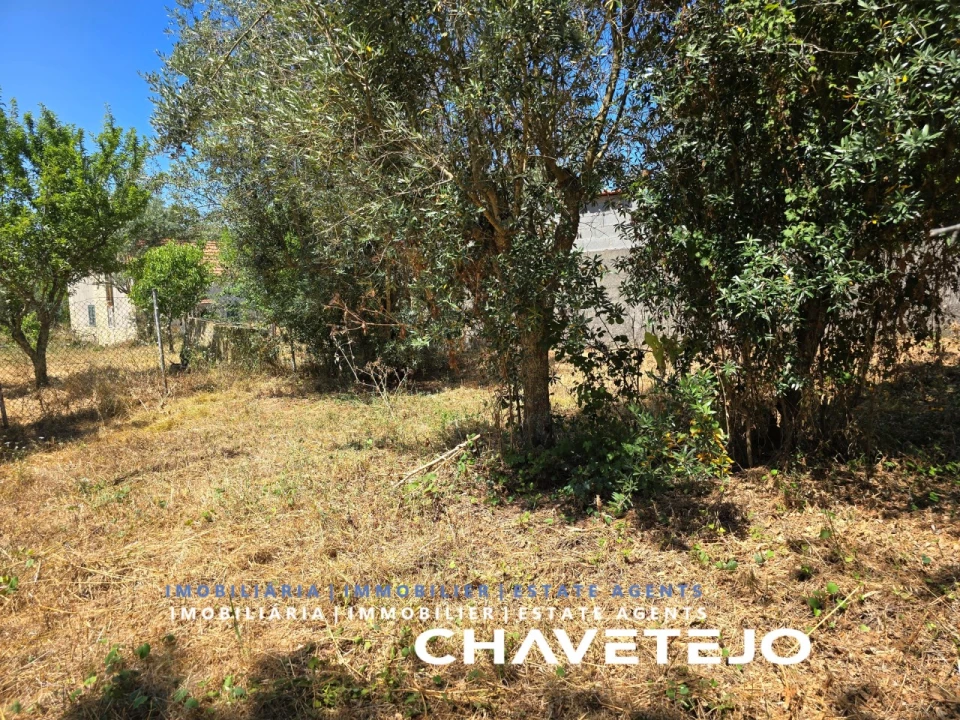 Terreno para Venda em Areias e Pias Foto 10