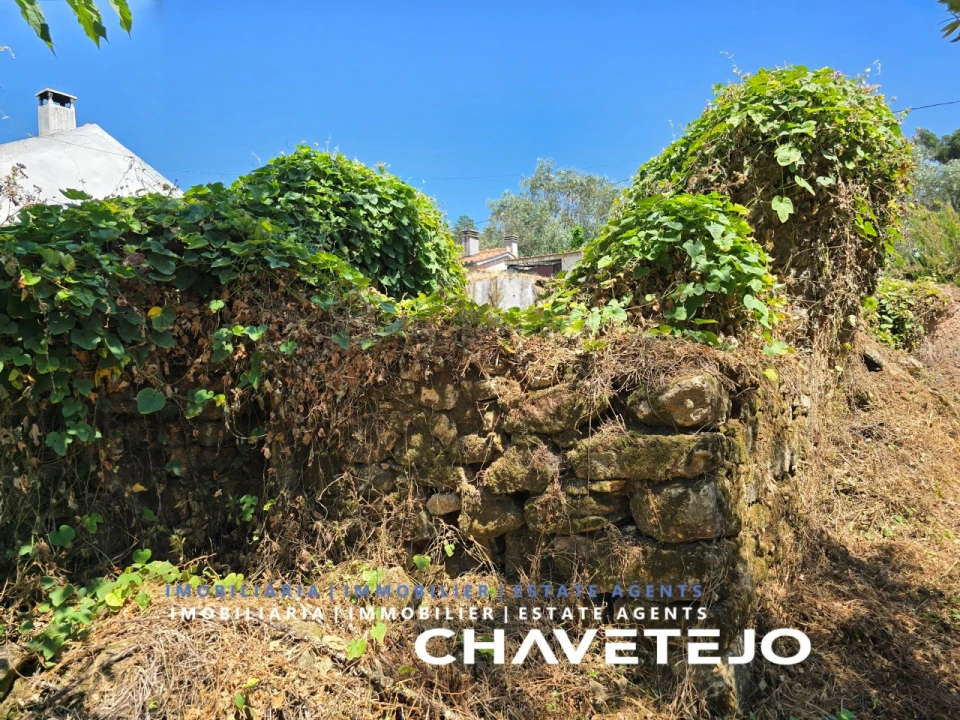 Terreno para Venda em Areias e Pias Foto 11