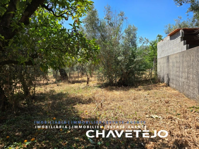 Terreno para Venda em Areias e Pias Foto 8