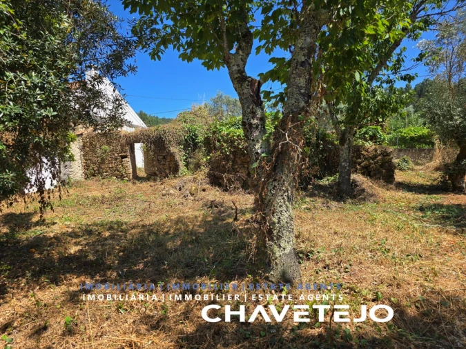 Terreno para Venda em Areias e Pias Foto 9