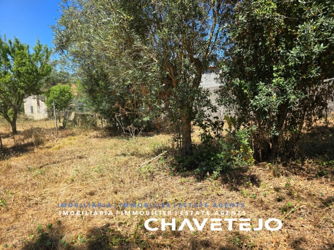 Terreno para Venda em Areias e Pias Foto 10