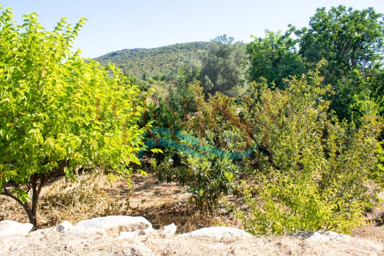 Moradia T3 para Venda em Moncarapacho e Fuseta Foto 10