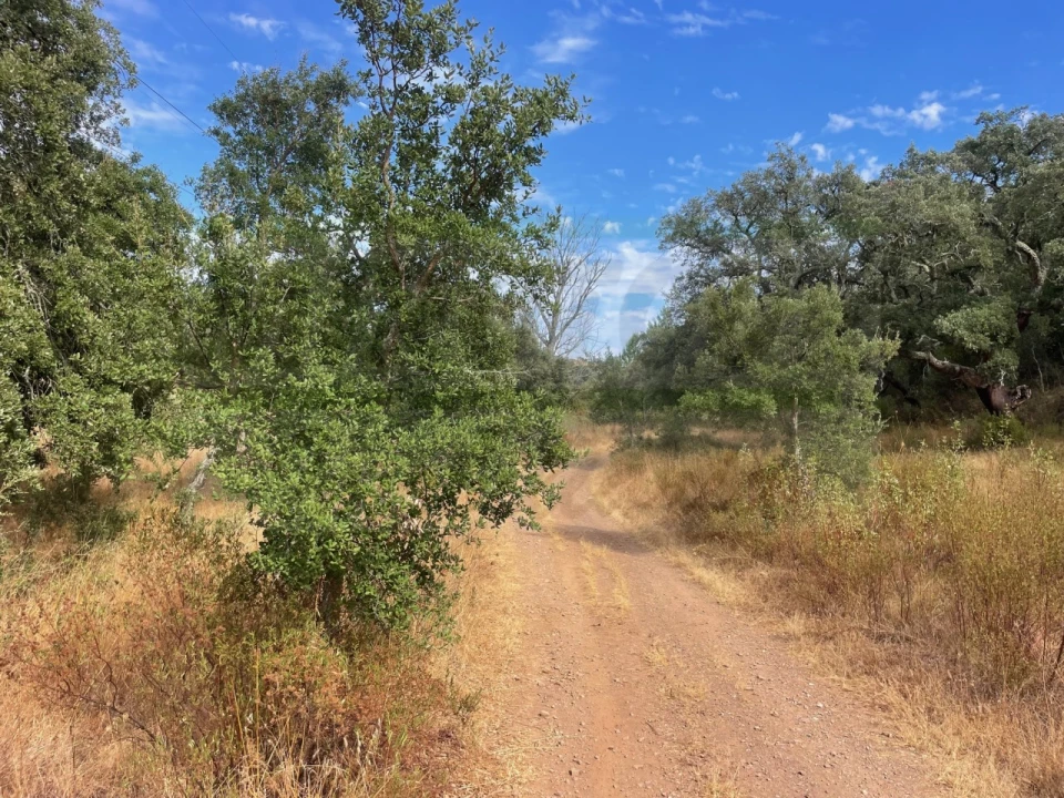 Quinta T3 para Venda em Abela Foto 7