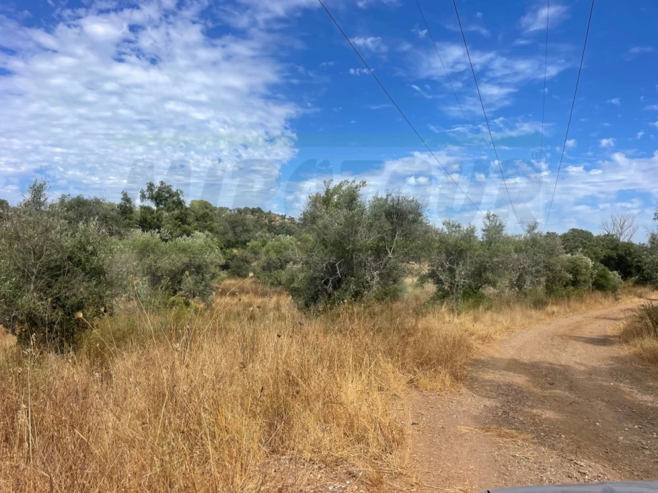 Quinta T3 para Venda em Abela Foto 16