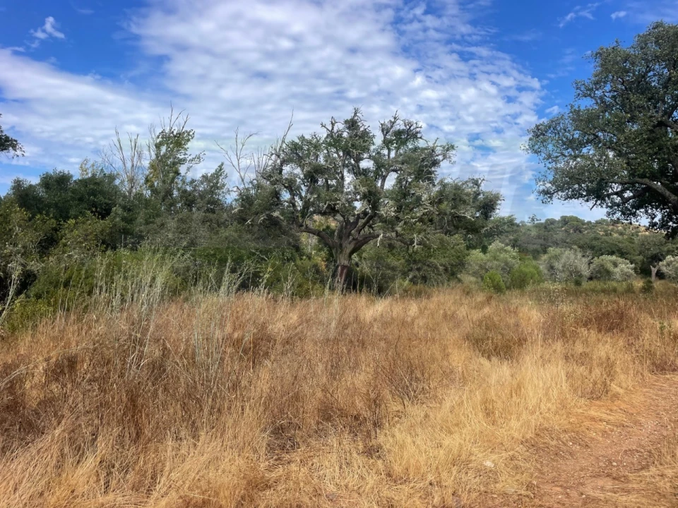Quinta T3 para Venda em Abela Foto 18