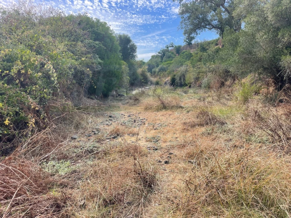 Quinta T3 para Venda em Abela Foto 20