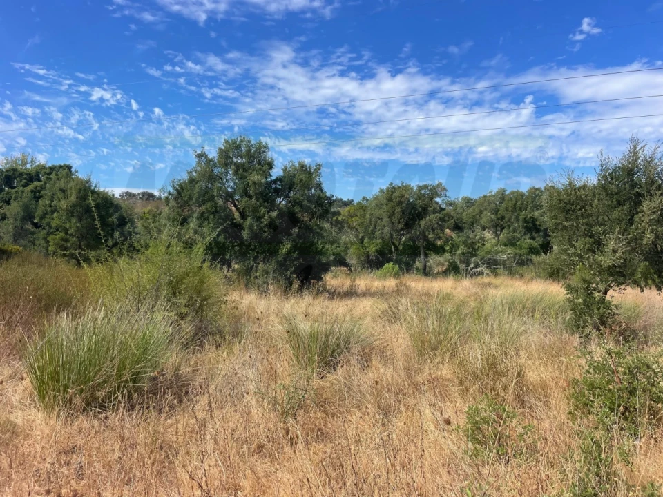 Quinta T3 para Venda em Abela Foto 21