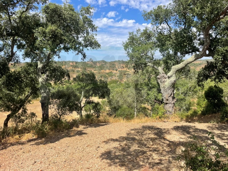 Quinta T3 para Venda em Abela Foto 23