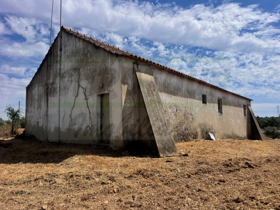 Quinta T3 para Venda em Abela Foto 28