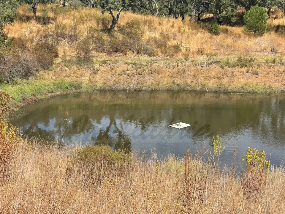 Quinta T3 para Venda em Abela Foto 39