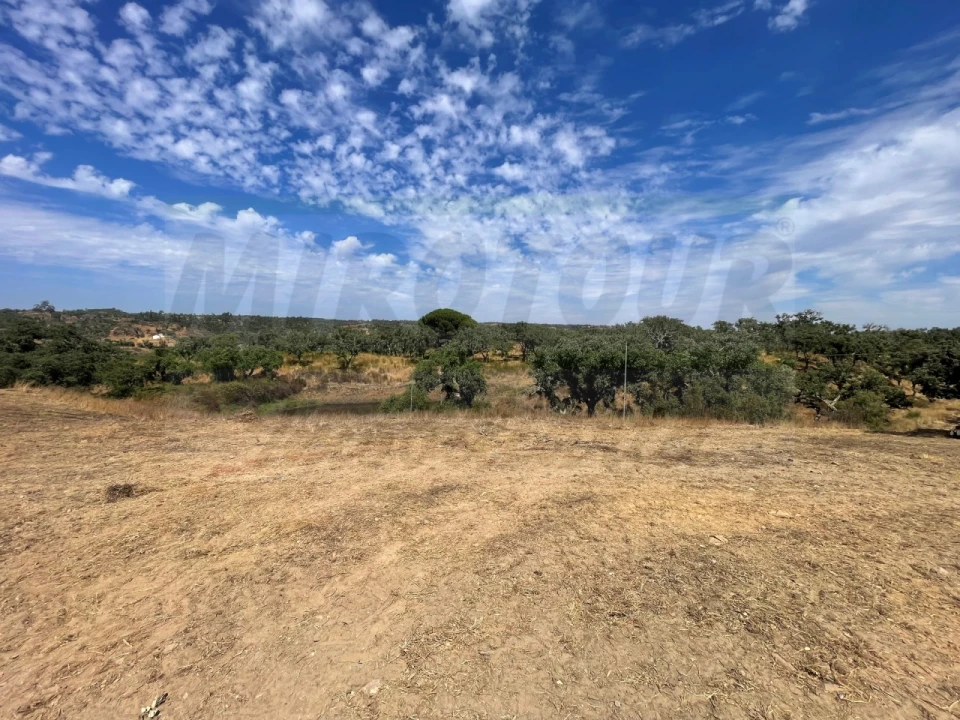 Quinta T3 para Venda em Abela Foto 44