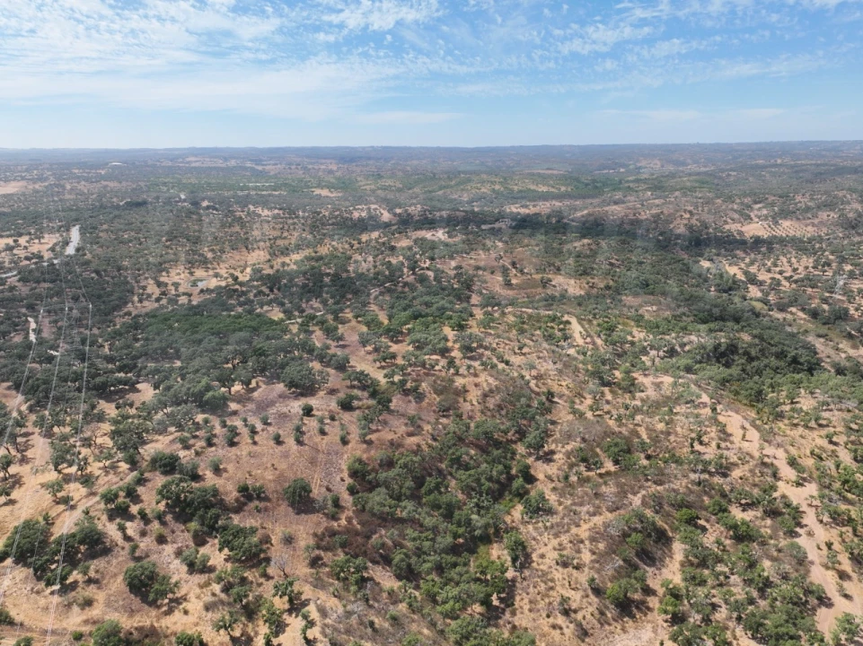 Quinta T3 para Venda em Abela Foto 58