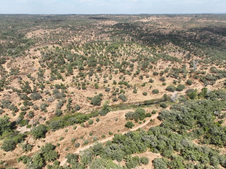 Quinta T3 para Venda em Abela Foto 66
