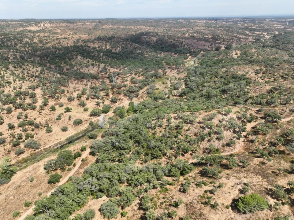 Quinta T3 para Venda em Abela Foto 67