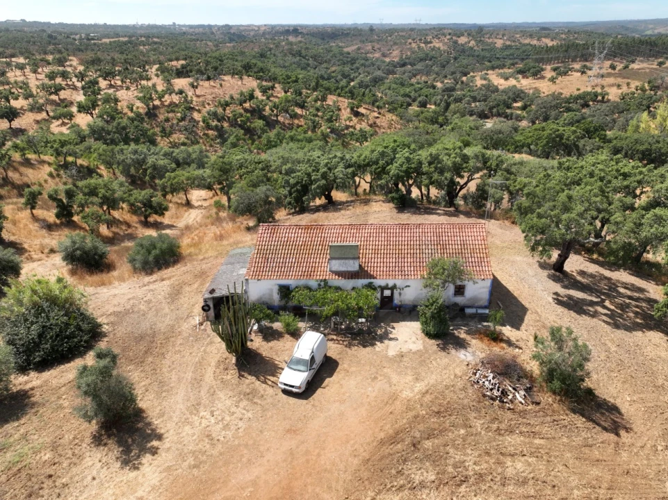 Quinta T3 para Venda em Abela Foto 1