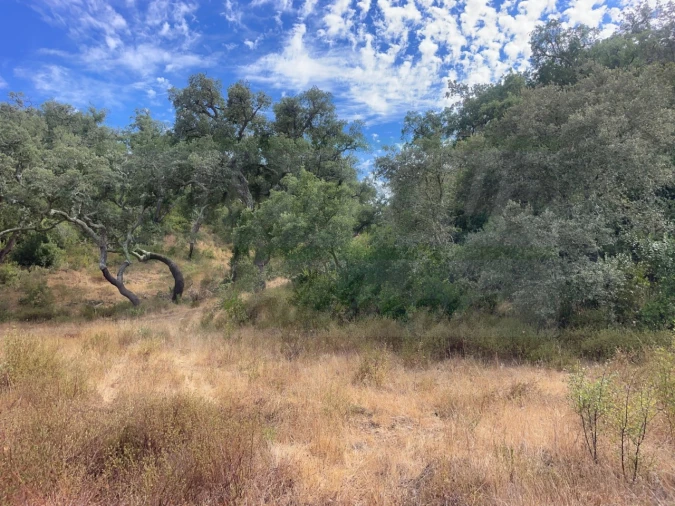 Quinta T3 para Venda em Abela Foto 11