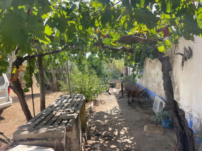 Quinta T3 para Venda em Abela Foto 38