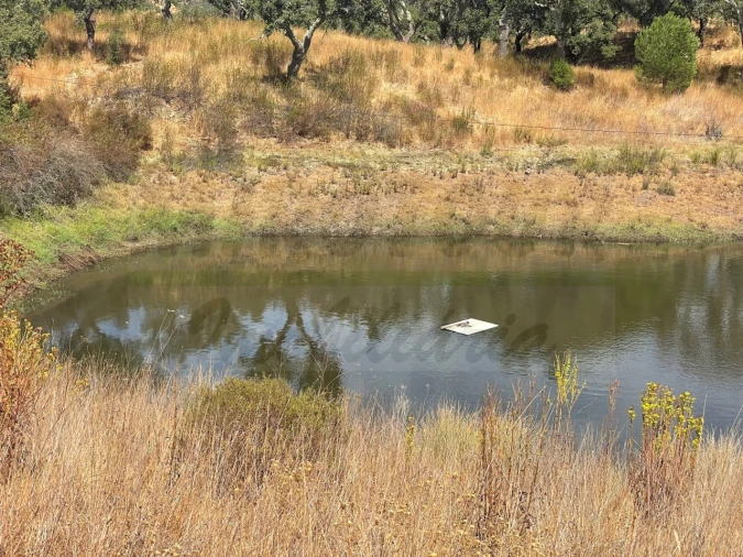 Quinta T3 para Venda em Abela Foto 39