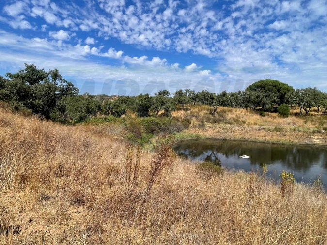 Quinta T3 para Venda em Abela Foto 42