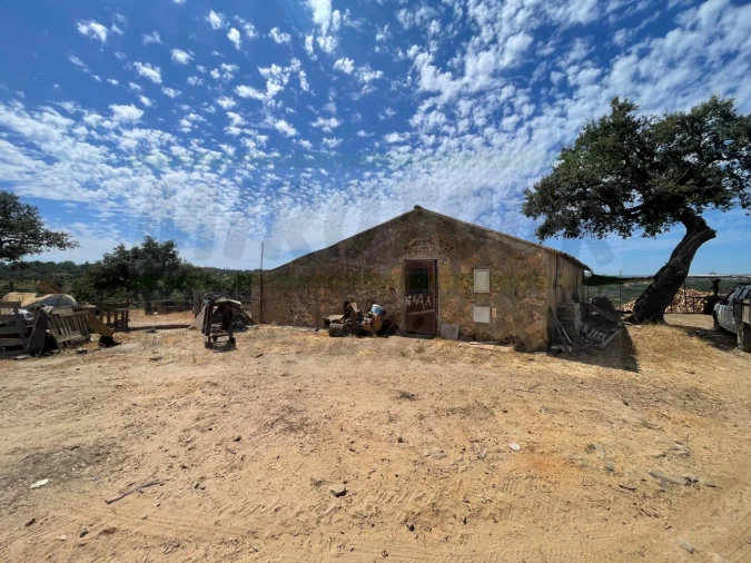 Quinta T3 para Venda em Abela Foto 50
